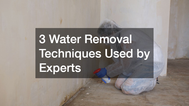 3 Water Removal Techniques Used by Experts